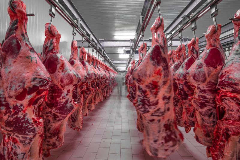 Условия и сроки хранения мяса в общепите